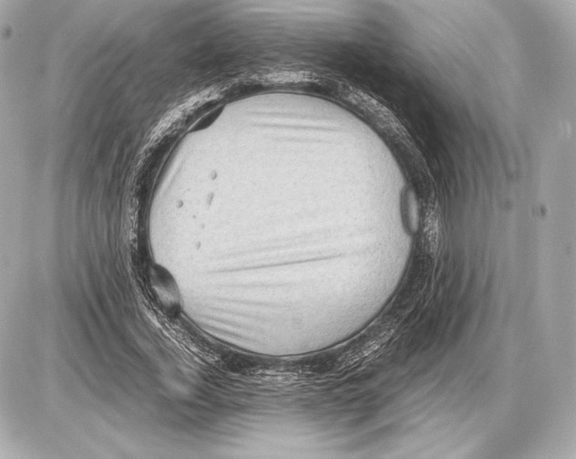 X0000085810732200704091606