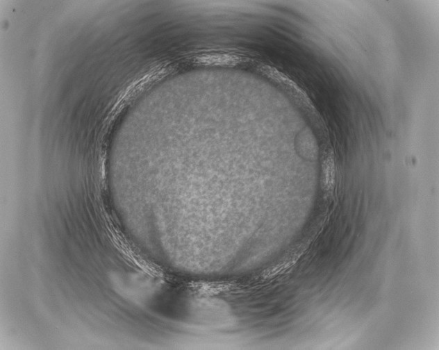 X0000085810733200704091606