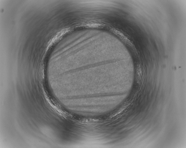 X0000085810734200704091606