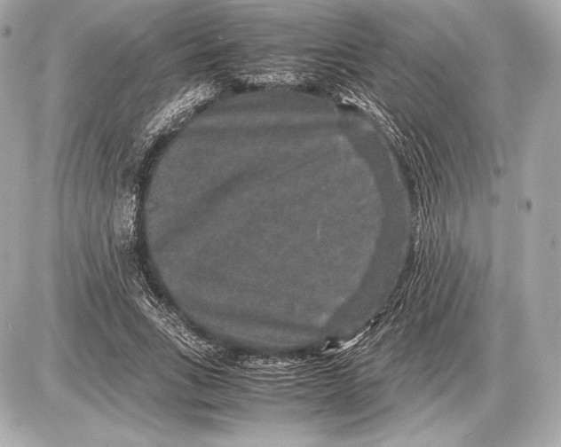 X0000085810735200704091606