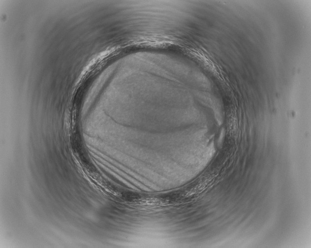 X0000085810736200704091606