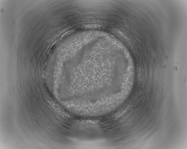 X0000085810737200704091606