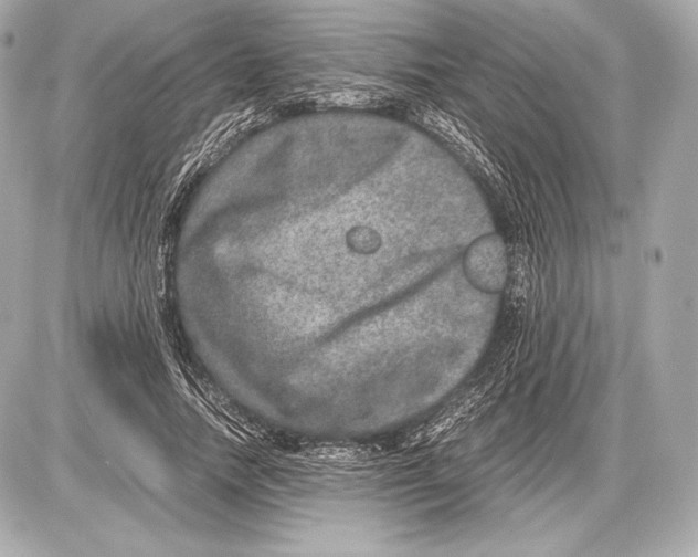 X0000085810738200704091606