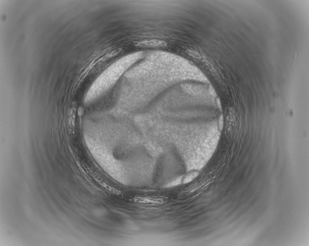 X0000085810739200704091606