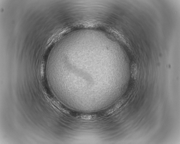 X0000085810740200704091606