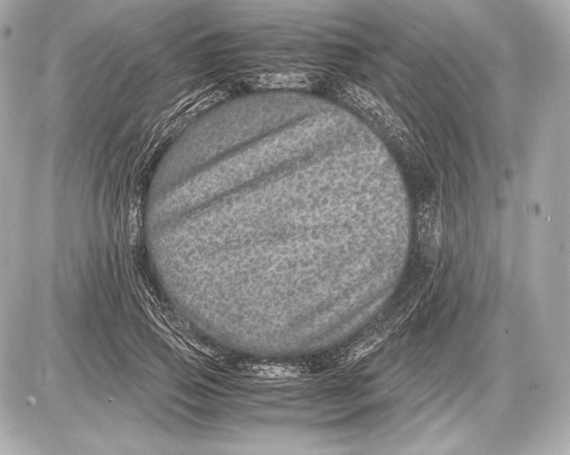 X0000085810741200704091606