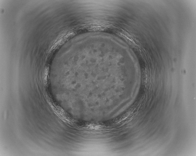 X0000085810742200704091606