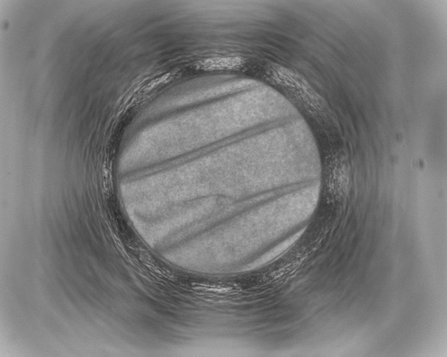 X0000085810743200704091606