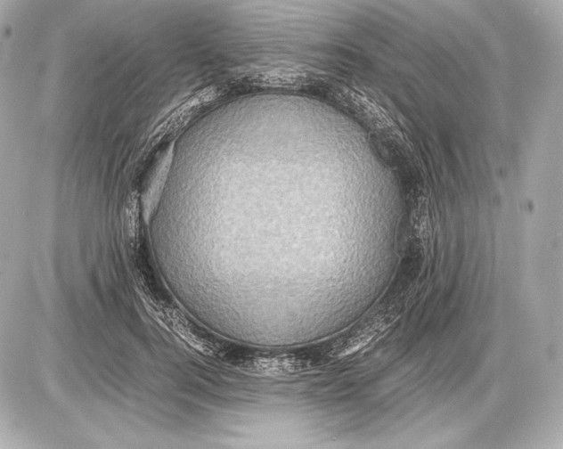 X0000085810744200704091606