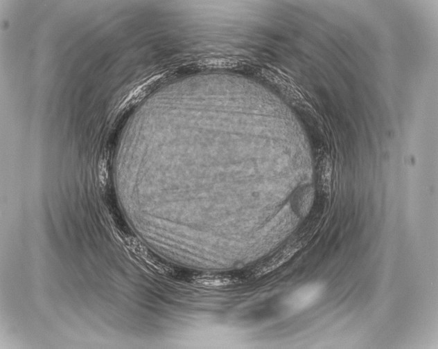 X0000085810746200704091606