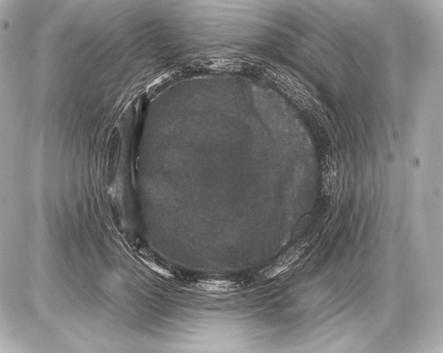 X0000085810748200704091606