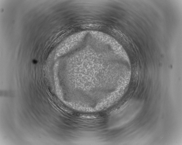 X0000085810749200704091606