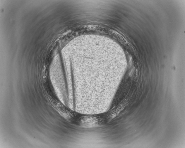 X0000085810750200704091606