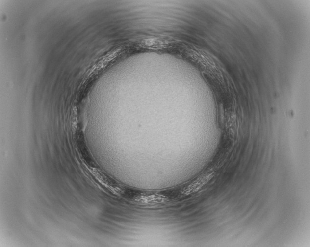 X0000085810752200704091606