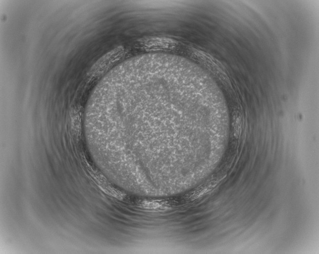 X0000085810753200704091606