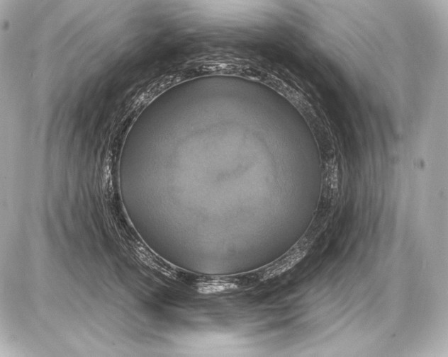 X0000085810754200704091606