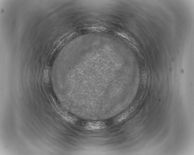 X0000085810757200704091606