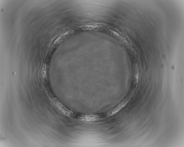 X0000085810758200704091606