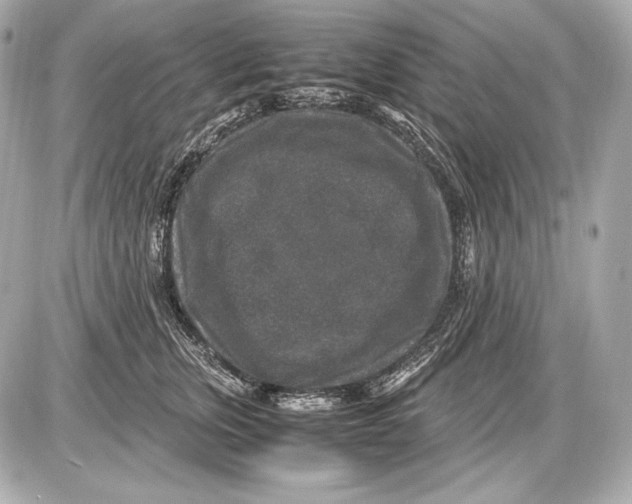 X0000085810759200704091606