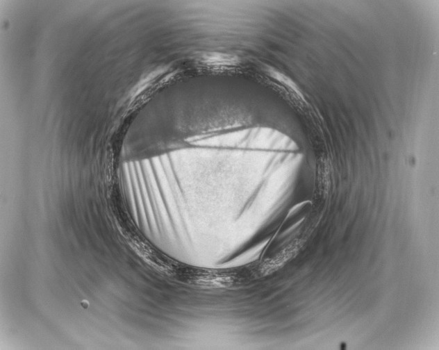 X0000085810760200704091606