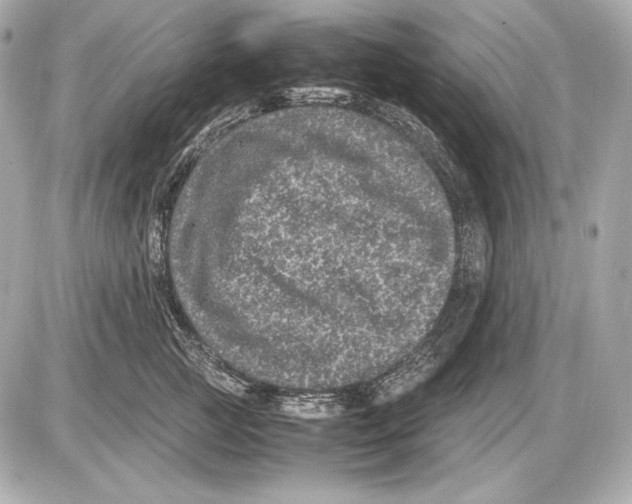 X0000085810761200704091606