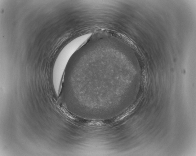 X0000085810762200704091606