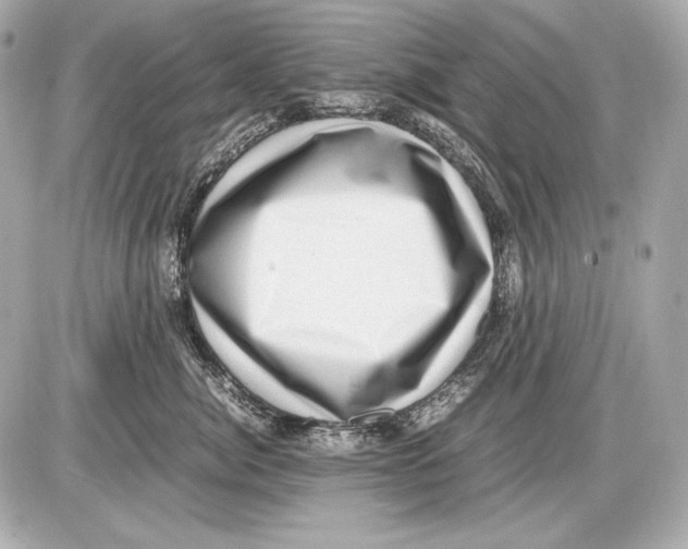 X0000085810764200704091606