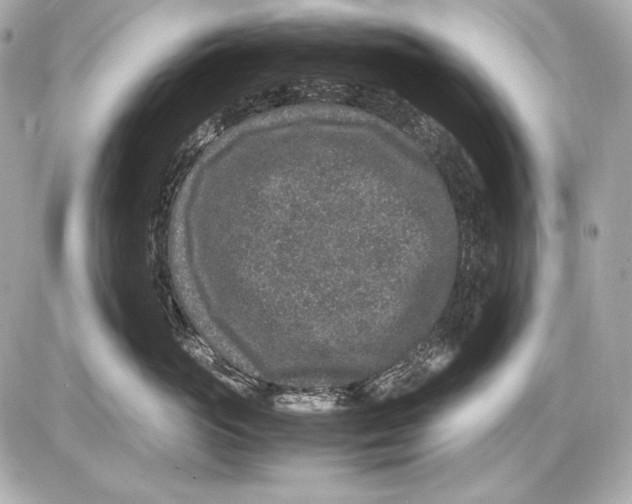 X0000085810765200704091606