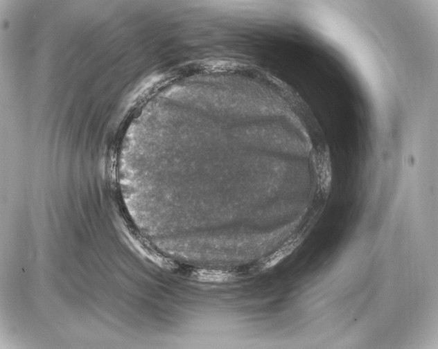 X0000085810766200704091606