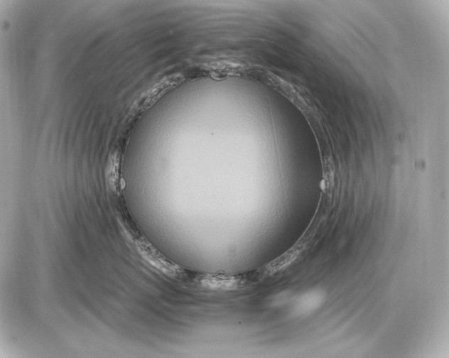 X0000085810767200704091606