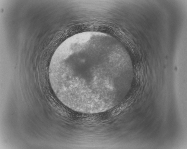 X0000085810769200704091606