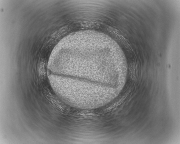 X0000085810770200704091606