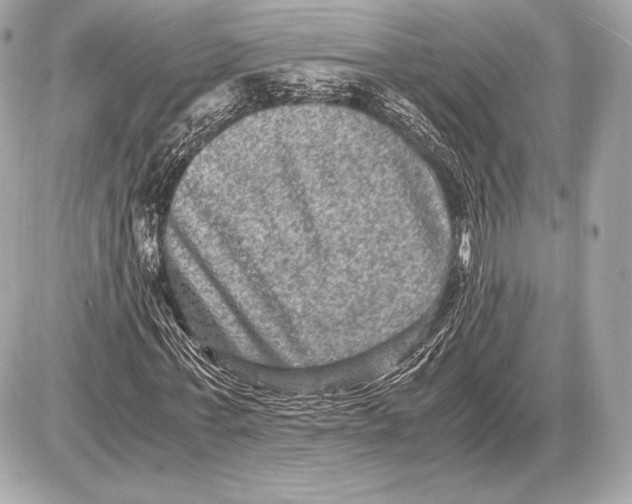 X0000085810771200704091606