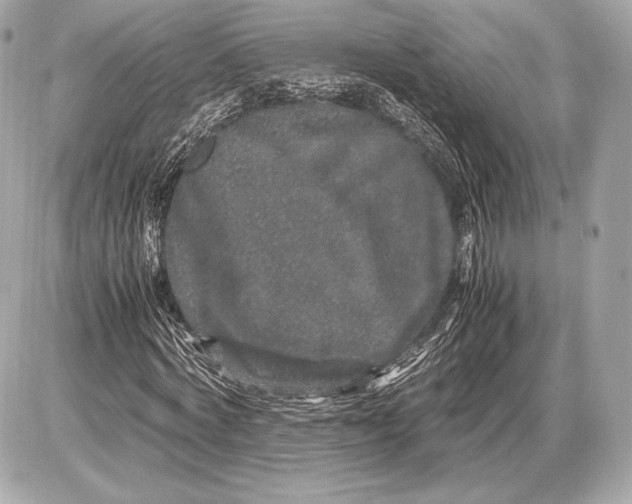 X0000085810772200704091606