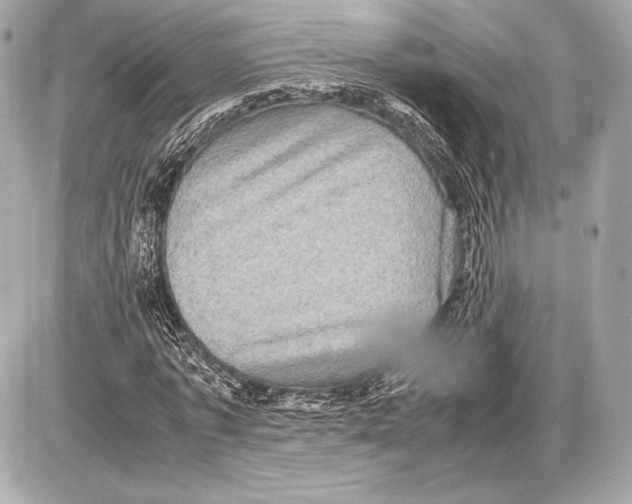 X0000085810773200704091606