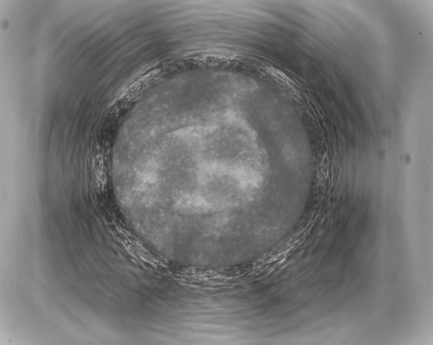 X0000085810774200704091606