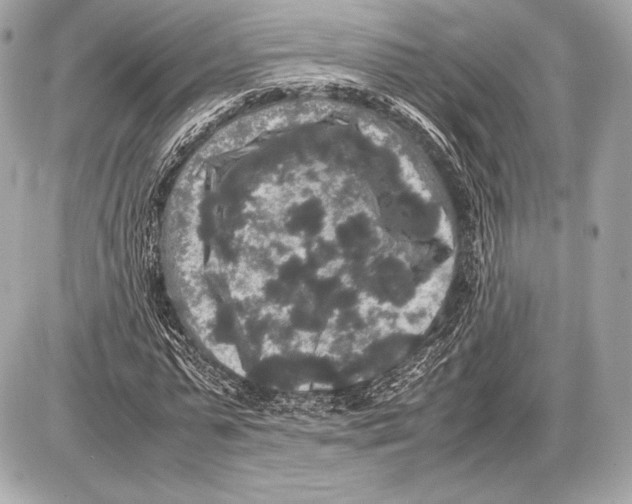 X0000085810775200704091606