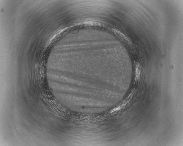 X0000085810776200704091606