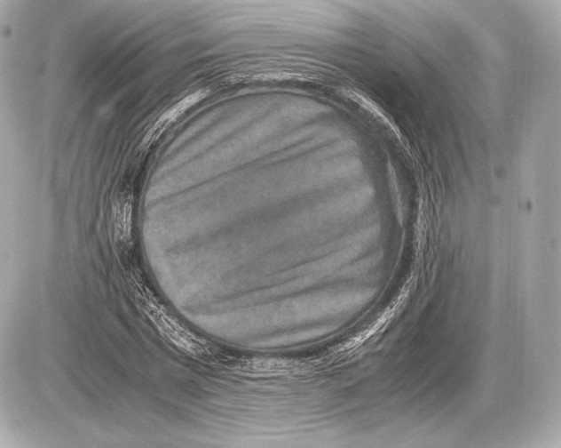 X0000085810777200704091606