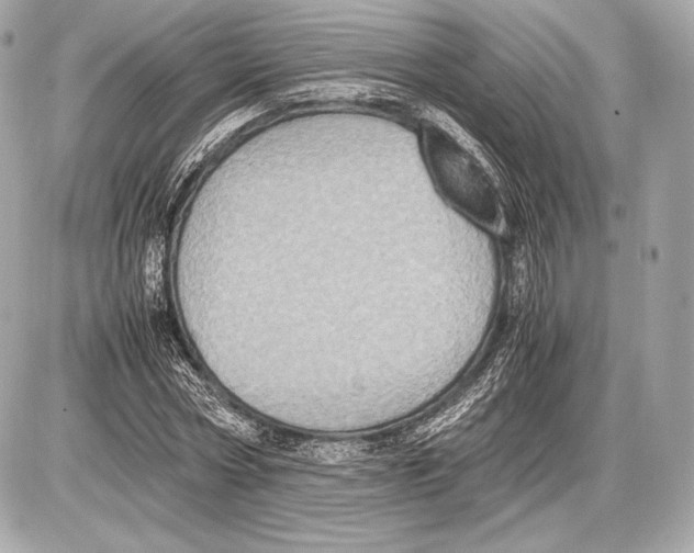 X0000085810778200704091606