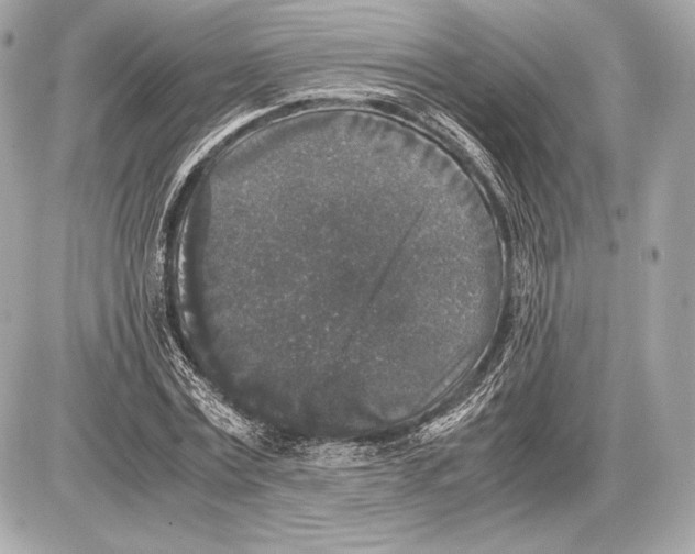 X0000085810779200704091605