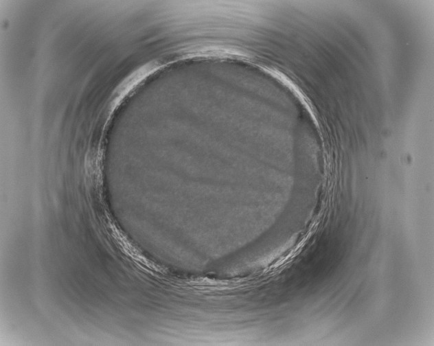 X0000085810783200704091605