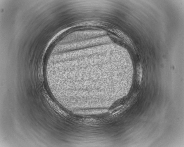 X0000085810784200704091605