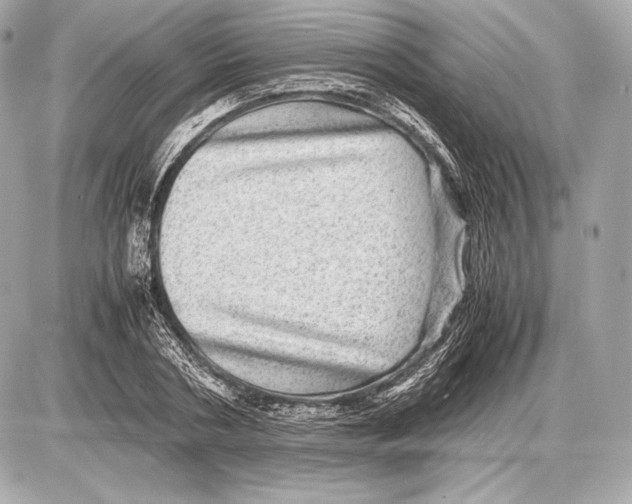 X0000085810786200704091605