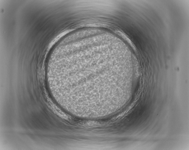 X0000085810787200704091605