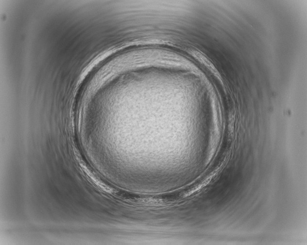 X0000085810789200704091605