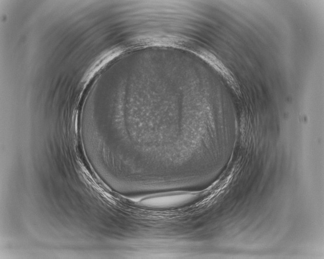 X0000085810790200704091605