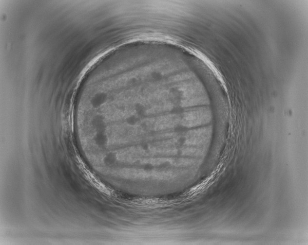 X0000085810791200704091605