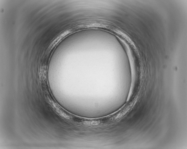 X0000085810793200704091605