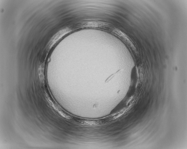 X0000085810794200704091605